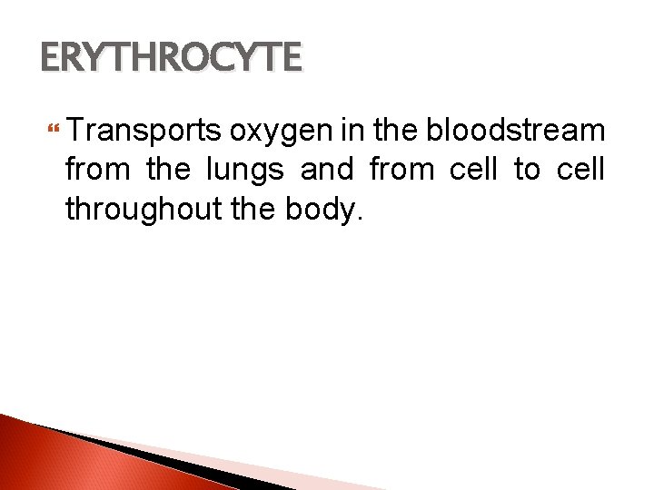 ERYTHROCYTE Transports oxygen in the bloodstream from the lungs and from cell to cell
