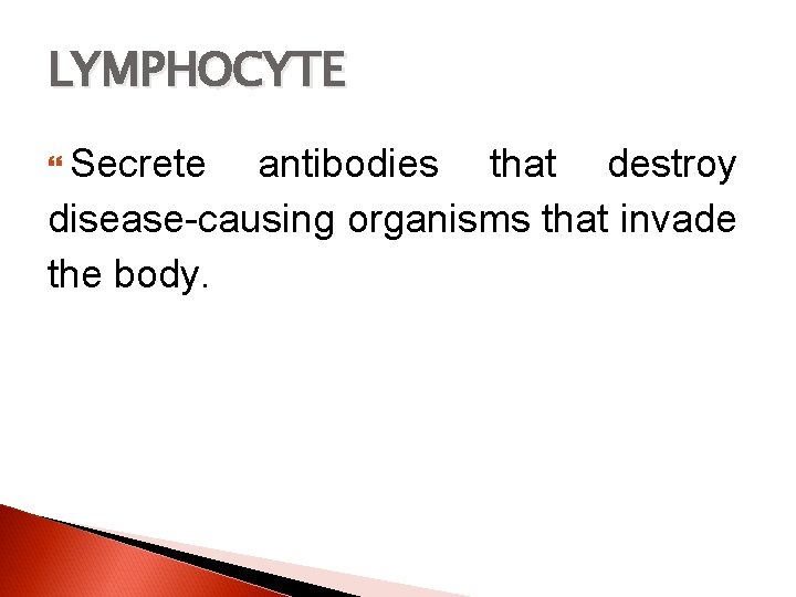 LYMPHOCYTE Secrete antibodies that destroy disease-causing organisms that invade the body. 