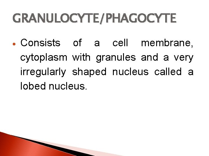 GRANULOCYTE/PHAGOCYTE Consists of a cell membrane, cytoplasm with granules and a very irregularly shaped