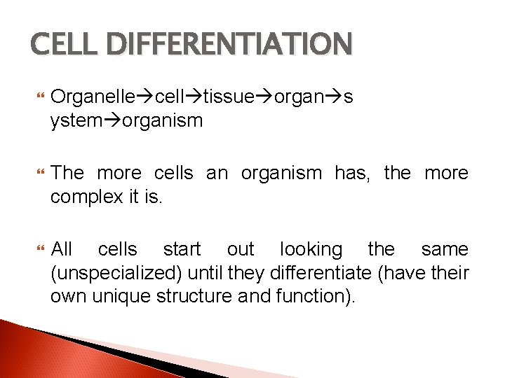 CELL DIFFERENTIATION Organelle cell tissue organ s ystem organism The more cells an organism