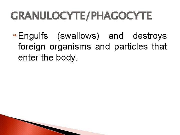 GRANULOCYTE/PHAGOCYTE Engulfs (swallows) and destroys foreign organisms and particles that enter the body. 