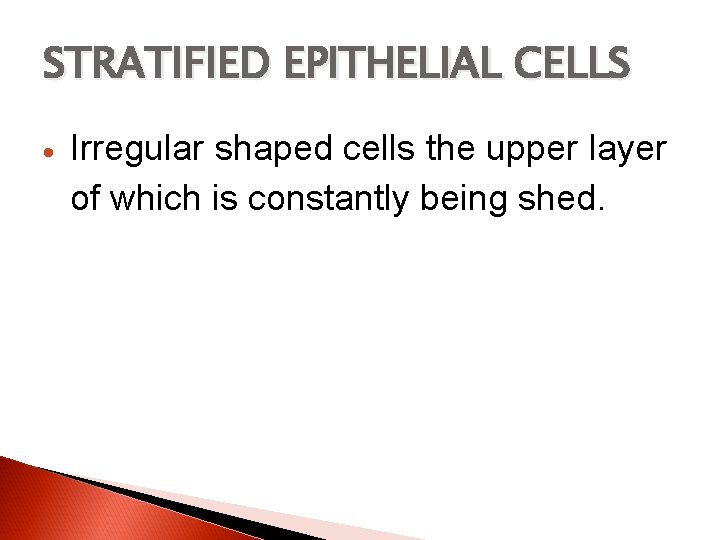 STRATIFIED EPITHELIAL CELLS Irregular shaped cells the upper layer of which is constantly being