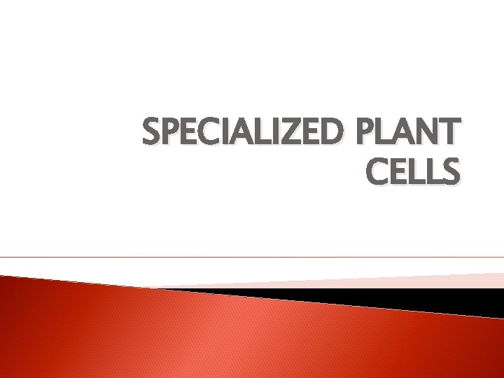 SPECIALIZED PLANT CELLS 