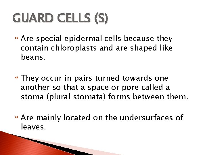 GUARD CELLS (S) Are special epidermal cells because they contain chloroplasts and are shaped