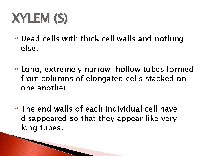 XYLEM (S) Dead cells with thick cell walls and nothing else. Long, extremely narrow,