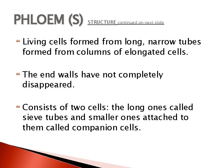 PHLOEM (S) STRUCTURE continued on next slide Living cells formed from long, narrow tubes