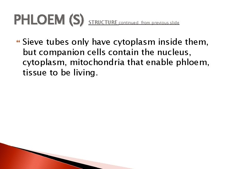 PHLOEM (S) STRUCTURE continued from previous slide Sieve tubes only have cytoplasm inside them,