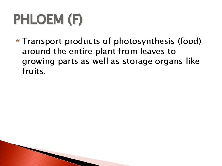 PHLOEM (F) Transport products of photosynthesis (food) around the entire plant from leaves to