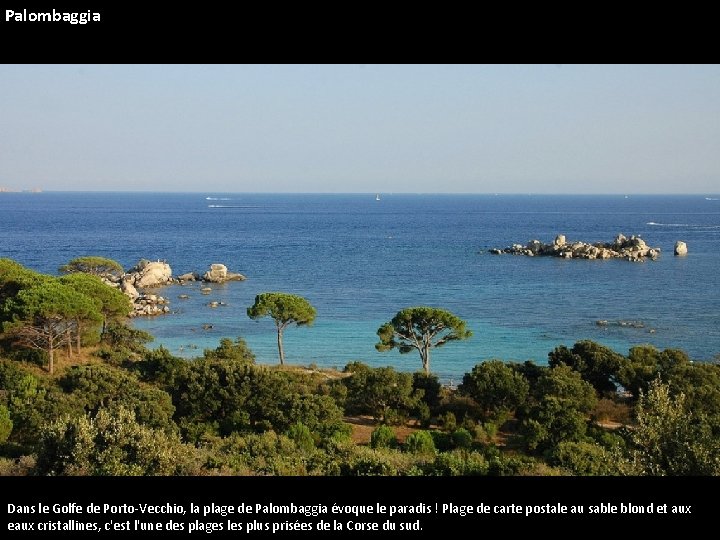 Palombaggia Dans le Golfe de Porto-Vecchio, la plage de Palombaggia évoque le paradis !