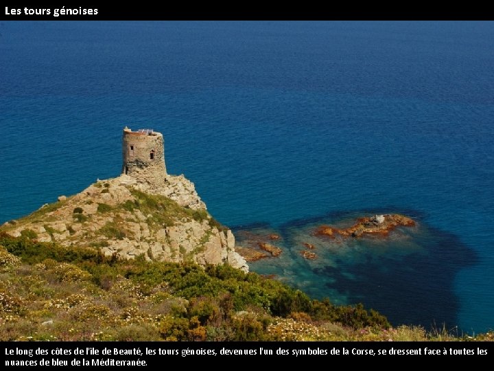 Les tours génoises Le long des côtes de l'île de Beauté, les tours génoises,