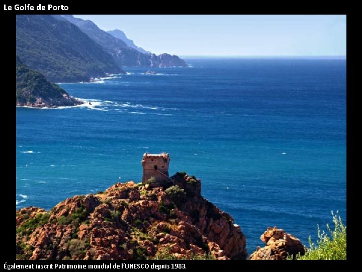 Le Golfe de Porto Également inscrit Patrimoine mondial de l’UNESCO depuis 1983. 