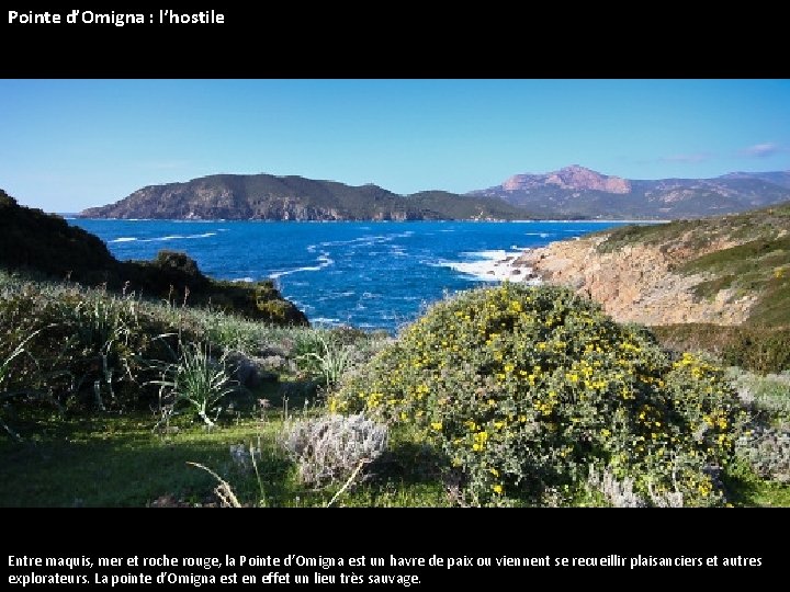 Pointe d’Omigna : l’hostile Entre maquis, mer et roche rouge, la Pointe d’Omigna est