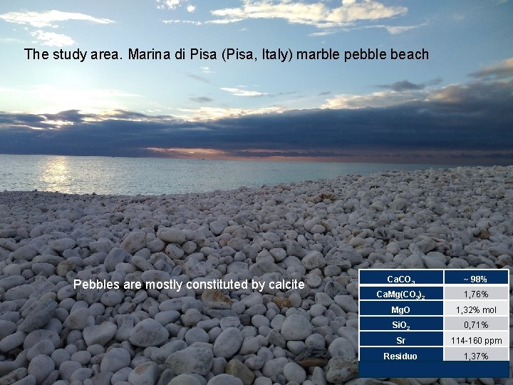 The study area. Marina di Pisa (Pisa, Italy) marble pebble beach Pebbles are mostly