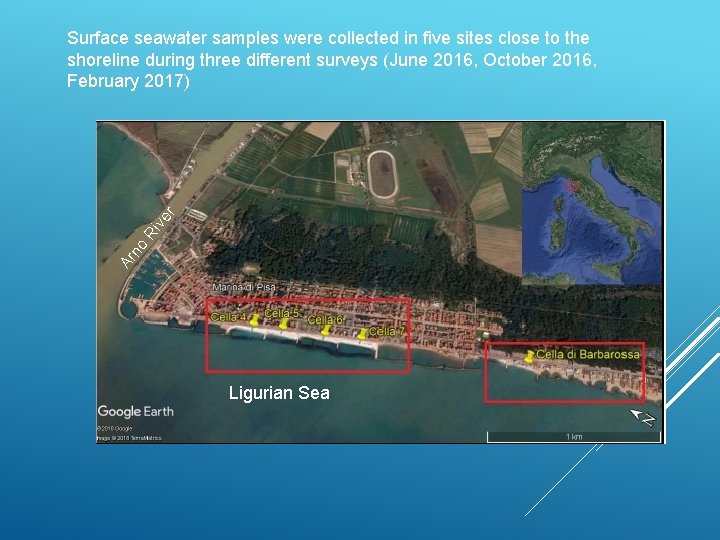 Ar no Ri ve r Surface seawater samples were collected in five sites close