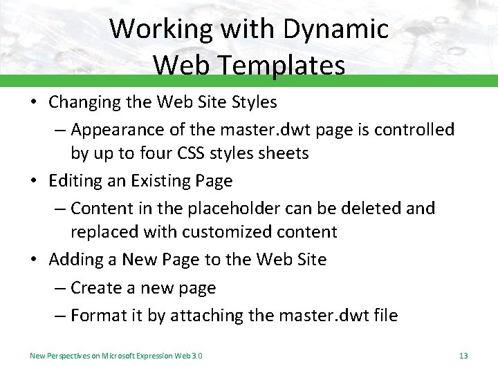Working with Dynamic Web Templates • Changing the Web Site Styles – Appearance of