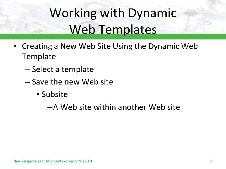 Working with Dynamic Web Templates • Creating a New Web Site Using the Dynamic