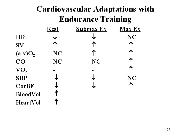 Cardiovascular Adaptations with Endurance Training HR SV (a-v)O 2 CO VO 2 SBP Cor.