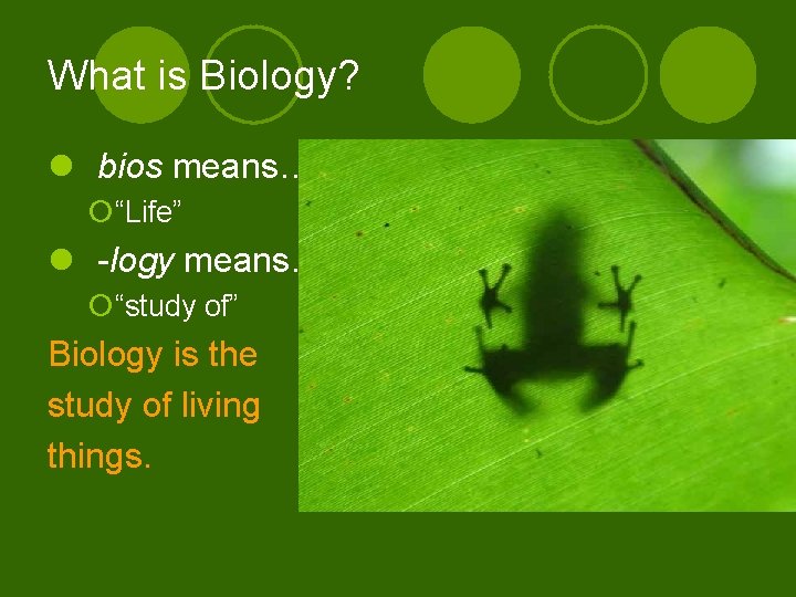 What is Biology? l bios means… ¡“Life” l -logy means… ¡“study of” Biology is
