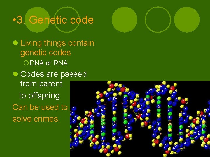  • 3. Genetic code l Living things contain genetic codes ¡ DNA or