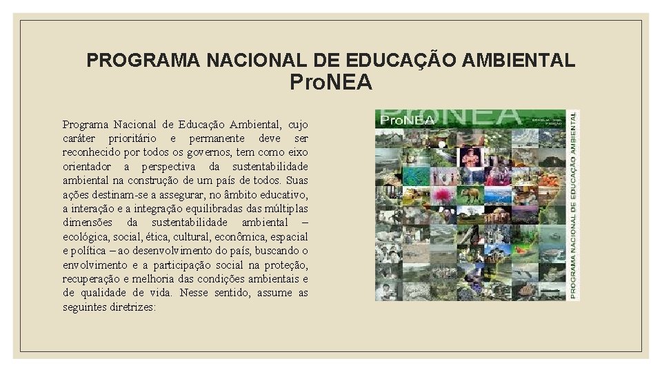 PROGRAMA NACIONAL DE EDUCAÇÃO AMBIENTAL Pro. NEA Programa Nacional de Educação Ambiental, cujo caráter