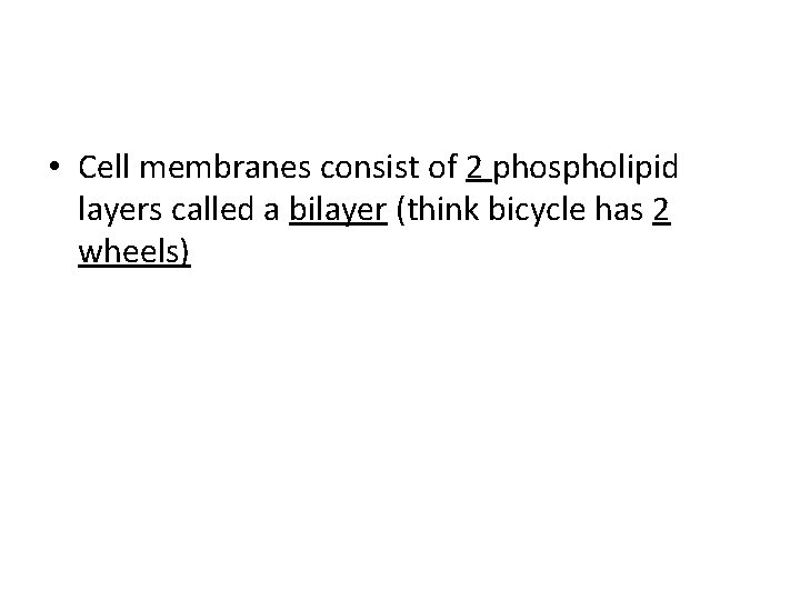  • Cell membranes consist of 2 phospholipid layers called a bilayer (think bicycle