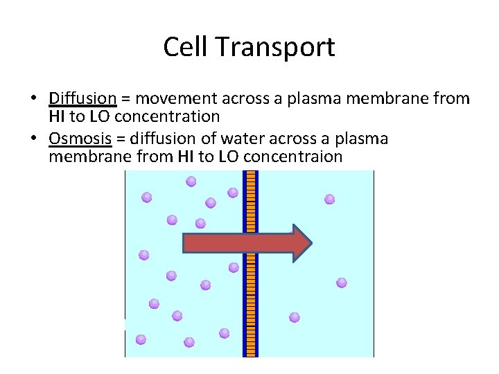 Cell Transport • Diffusion = movement across a plasma membrane from HI to LO