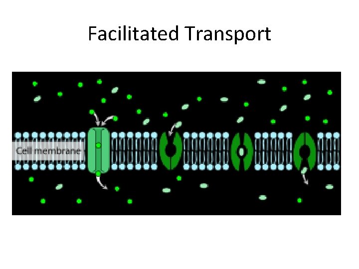 Facilitated Transport 