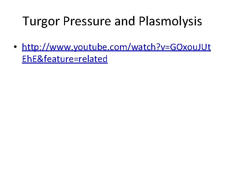 Turgor Pressure and Plasmolysis • http: //www. youtube. com/watch? v=GOxou. JUt Eh. E&feature=related 