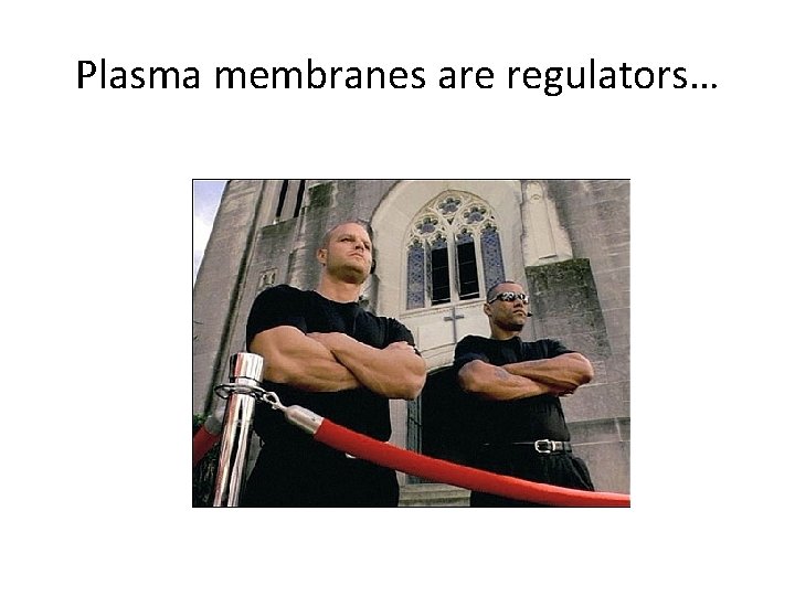 Plasma membranes are regulators… 