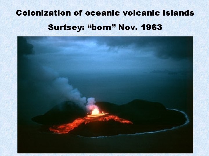 Colonization of oceanic volcanic islands Surtsey: “born” Nov. 1963 