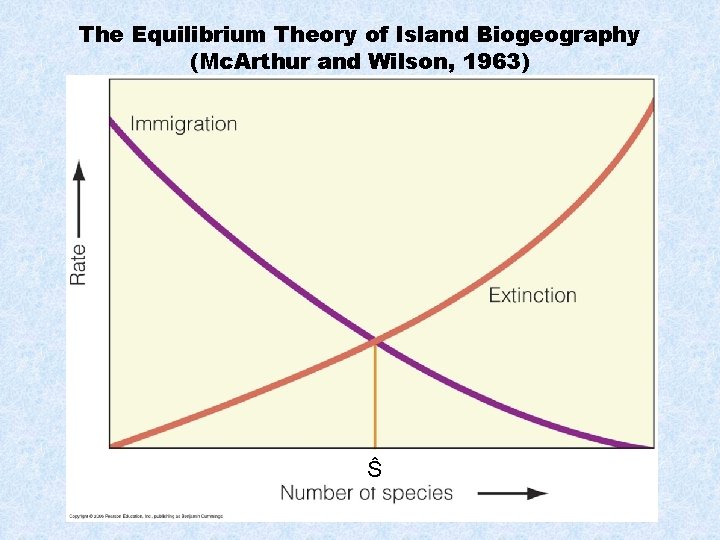 The Equilibrium Theory of Island Biogeography (Mc. Arthur and Wilson, 1963) Ŝ 