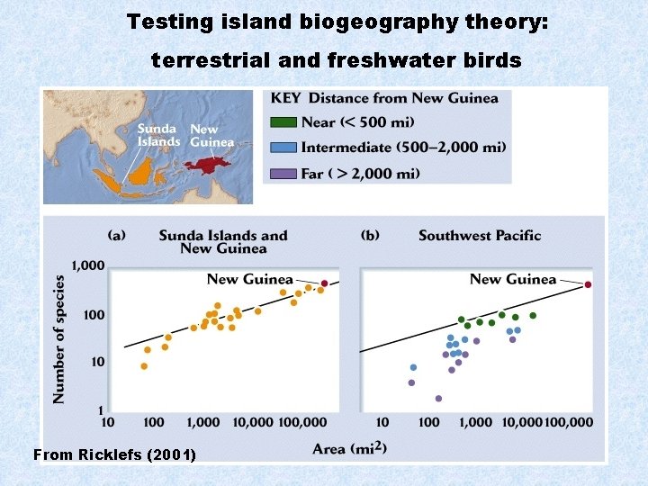 Testing island biogeography theory: terrestrial and freshwater birds From Ricklefs (2001) 