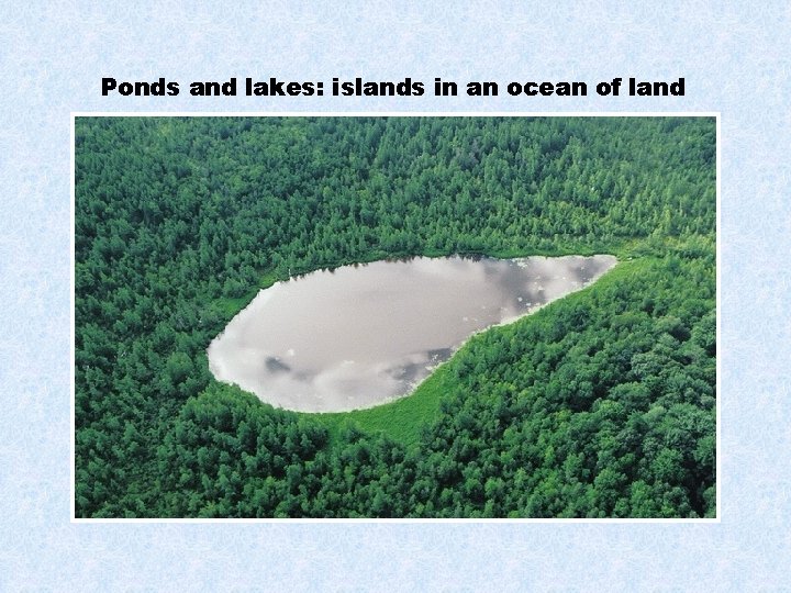 Ponds and lakes: islands in an ocean of land 