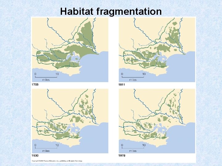 Habitat fragmentation 