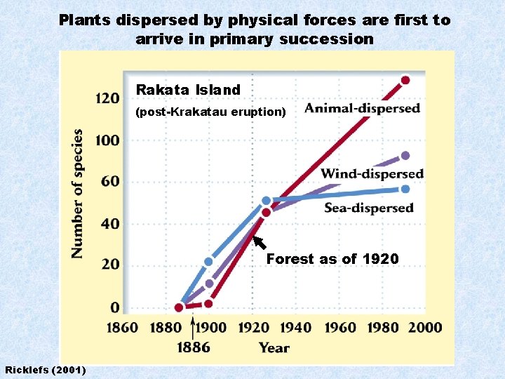 Plants dispersed by physical forces are first to arrive in primary succession Rakata Island