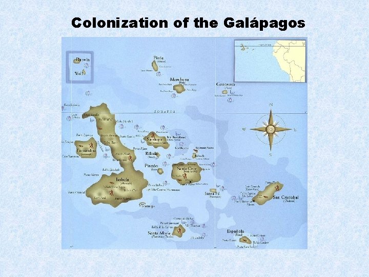 Colonization of the Galápagos 