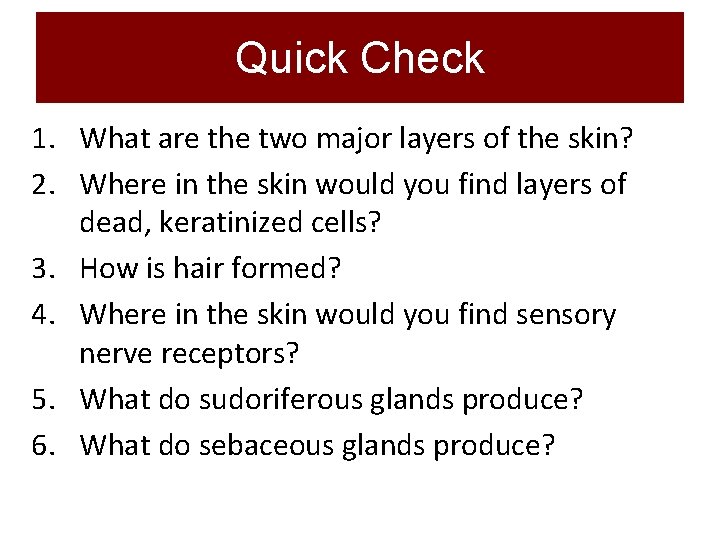 Quick Check 1. What are the two major layers of the skin? 2. Where