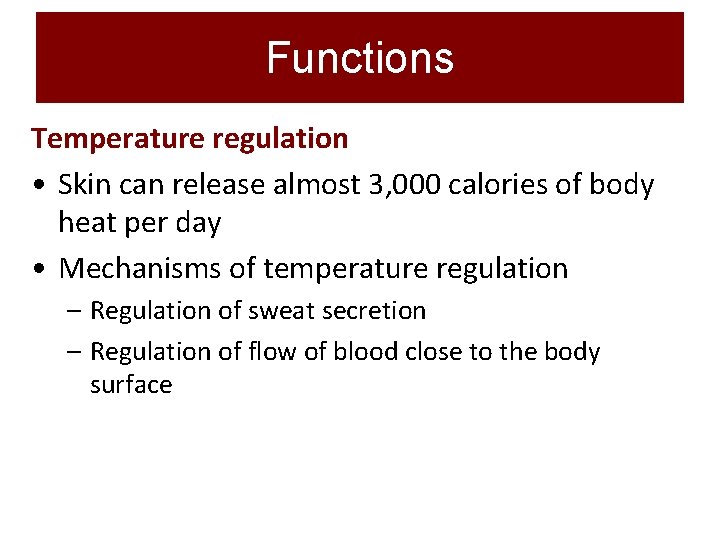 Functions Temperature regulation • Skin can release almost 3, 000 calories of body heat