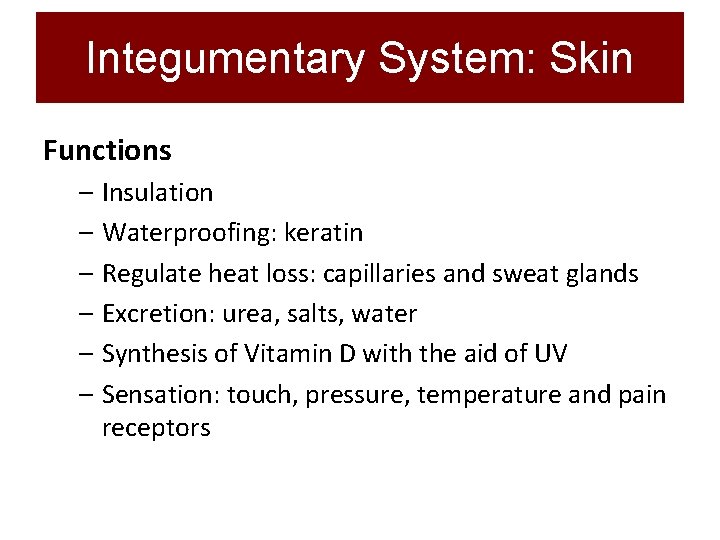 Integumentary System: Skin Functions – Insulation – Waterproofing: keratin – Regulate heat loss: capillaries