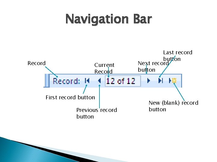 Navigation Bar Record Current Record First record button Previous record button Last record button