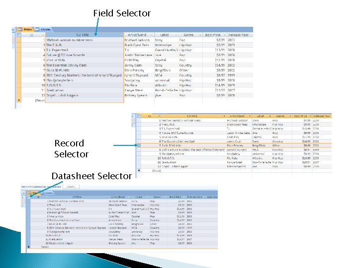 Field Selector Record Selector Datasheet Selector 