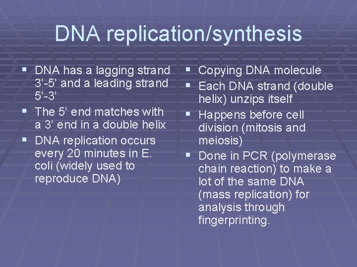 Basics of DNA Todd Rightmire Mt Baker High