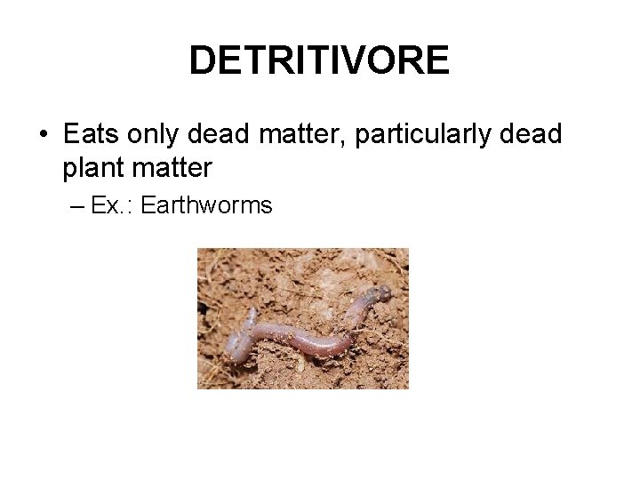 DETRITIVORE • Eats only dead matter, particularly dead plant matter – Ex. : Earthworms