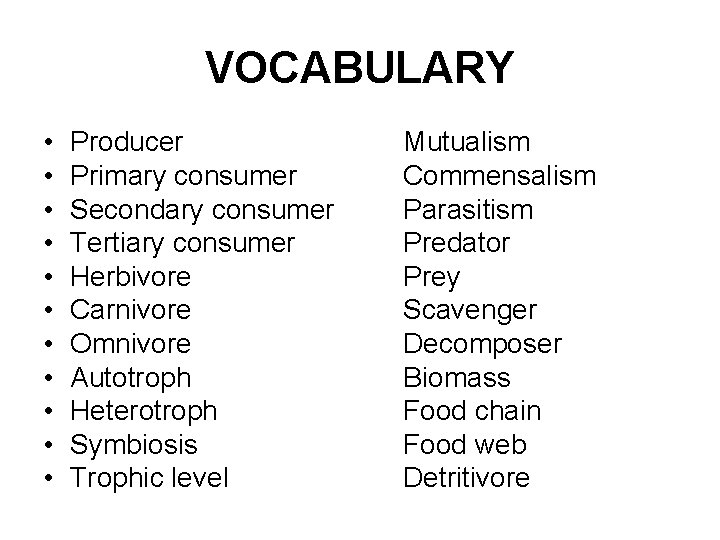 VOCABULARY • • • Producer Primary consumer Secondary consumer Tertiary consumer Herbivore Carnivore Omnivore