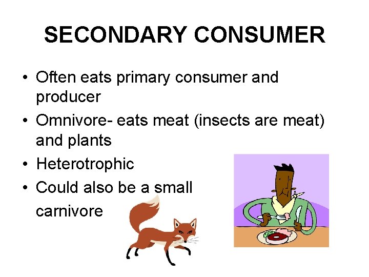 SECONDARY CONSUMER • Often eats primary consumer and producer • Omnivore- eats meat (insects