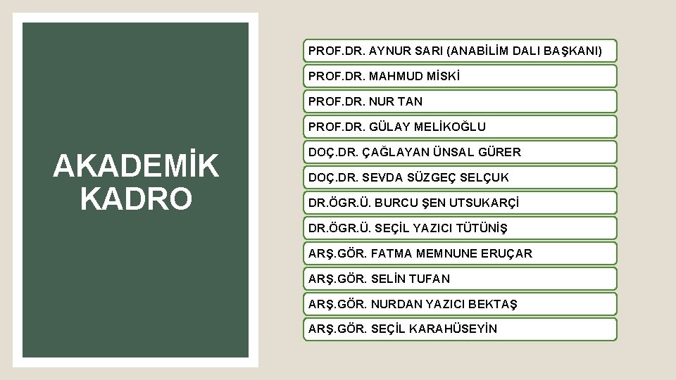 PROF. DR. AYNUR SARI (ANABİLİM DALI BAŞKANI) PROF. DR. MAHMUD MİSKİ PROF. DR. NUR