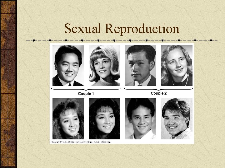 Sexual Reproduction 