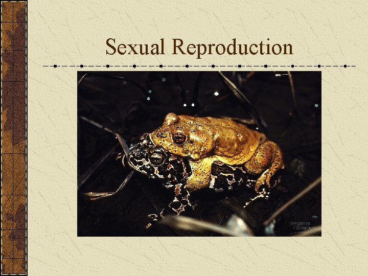 Sexual Reproduction 