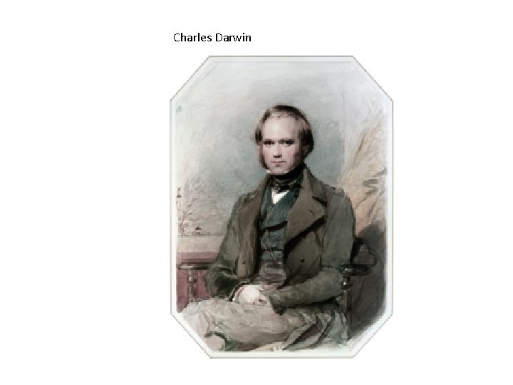 Charles Darwin 