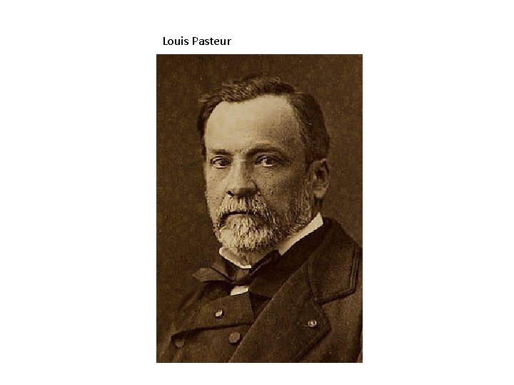 Louis Pasteur 